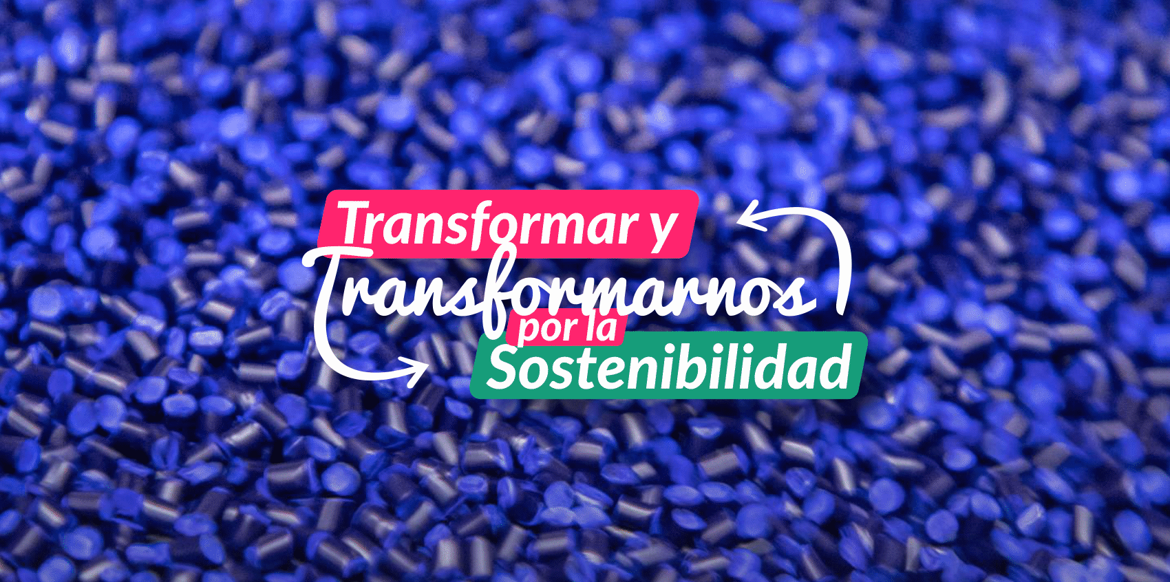 Transformar y Transformarnos por la Sostenibilidad